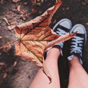 Otoño y estado de ánimo